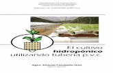 Agrom. Eliacim Caraballo Díaz - El Cultivo Hidropónico Utilizando Tubería p.v.c.