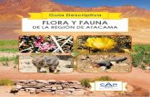 Flora y Fauna de La Region de Atacama