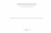 Matematica e Ensino (Monografia)