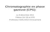 Chromatographie en Phase Gazeuse 8122011