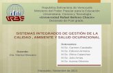 SISTEMAS INTEGRADOS DE GESTION