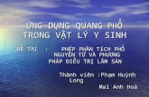 Pho Nguyen Tu