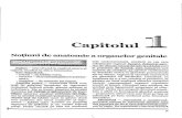 Obstetrica - V.A. - cap01.pdf