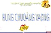 Rung Chuong Vang 2015 Thpt Nguyễn Khuyến