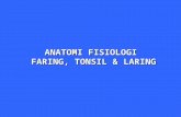 Anatomi Fisiologi Faring Tonsil Laring