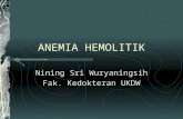 Anemia Hemolitik -2014