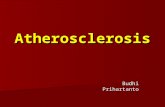 Pato Atherosclerosis
