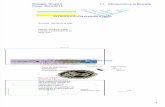 1.1. Introducción a la Biología.pdf