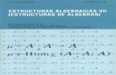 Estructuras Algebraicas 7