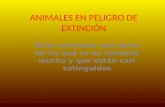 Animales en Peligro de Extinción