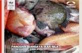 5 Budidaya Ikan Nila Indonesian