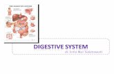 Digestive system dr. irma ns farmasi.ppt