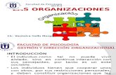Las Organizaciones