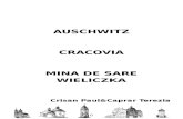 brosura cracovia-auscwitz editata