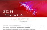 2002 DGA SDH Securite Presentation