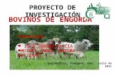 BOVINOS DE ENGORDA-PROYECTO.pptx