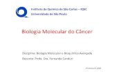 Biologia Molecular Do Cancer 120406135029 Phpapp02