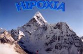 Hipoxia stom 2014