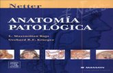 ANATOMIA PATOLOGIA - NETTER.pdf