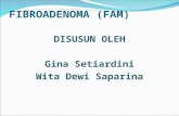 Fibroadenoma (Fam) Finis
