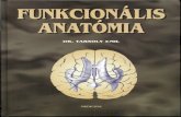 Dr. Tarsoly Emil - Funkcionális anatómia.pdf