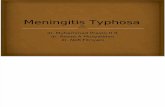 Meningitis Typhosa