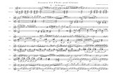 Flute and Guitar Sonata, Martín Grayson