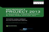 MS PROJECT 13