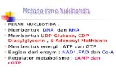 MSK 5.1,5.2,5.3 nukleotida