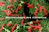 Aula - Microbiologia Dos Alimentos - Parte I