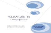 Manua básico de programación en C (español)
