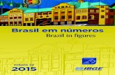 BrasilEmNumeros-bn 2015 v23
