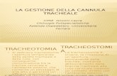 Govoni Gestione Della Cannula Tracheale (1)