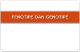 Fenotipe Dan Genotipe