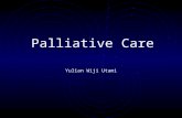 Palliative Msn