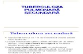 2 Tuberculoza Secundara Rom 2015 (1)