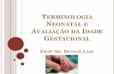 Terminologia Neonatal e Avaliação Da Idade Gestacional