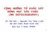 BAIGIANG MR DEFECOGRAPHY2712.ppt