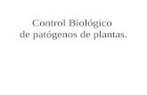 Control Biológico