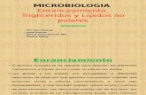 Microbiologia Expo