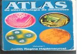 Atlas de Microbiologia de Alimentos