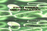 proteinas microbianas ORIGINALoooo.ppt
