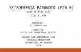 Skizofrenia Paranoid (f20