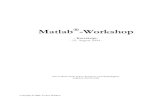 Matlab - Matlab-Workshop.pdf