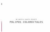 polipos colorectales