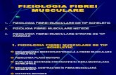 Fiziologia Fibrei Musculare