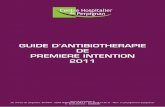 Guide Antibiotherapie 2011 Smit Chp