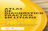 201205 Atlas Litiasis Libro 01
