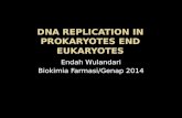 DNA replication in Prokaryotes End Eukaryotes.pptx