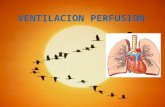 ventilacion perfusion